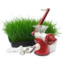 hand wheatgrass juicer icon